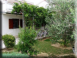Apartments for rent