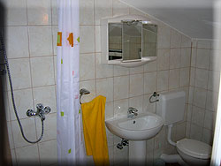 Apartments for rent