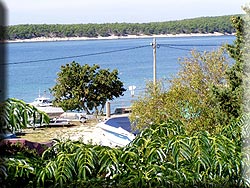 Barbat